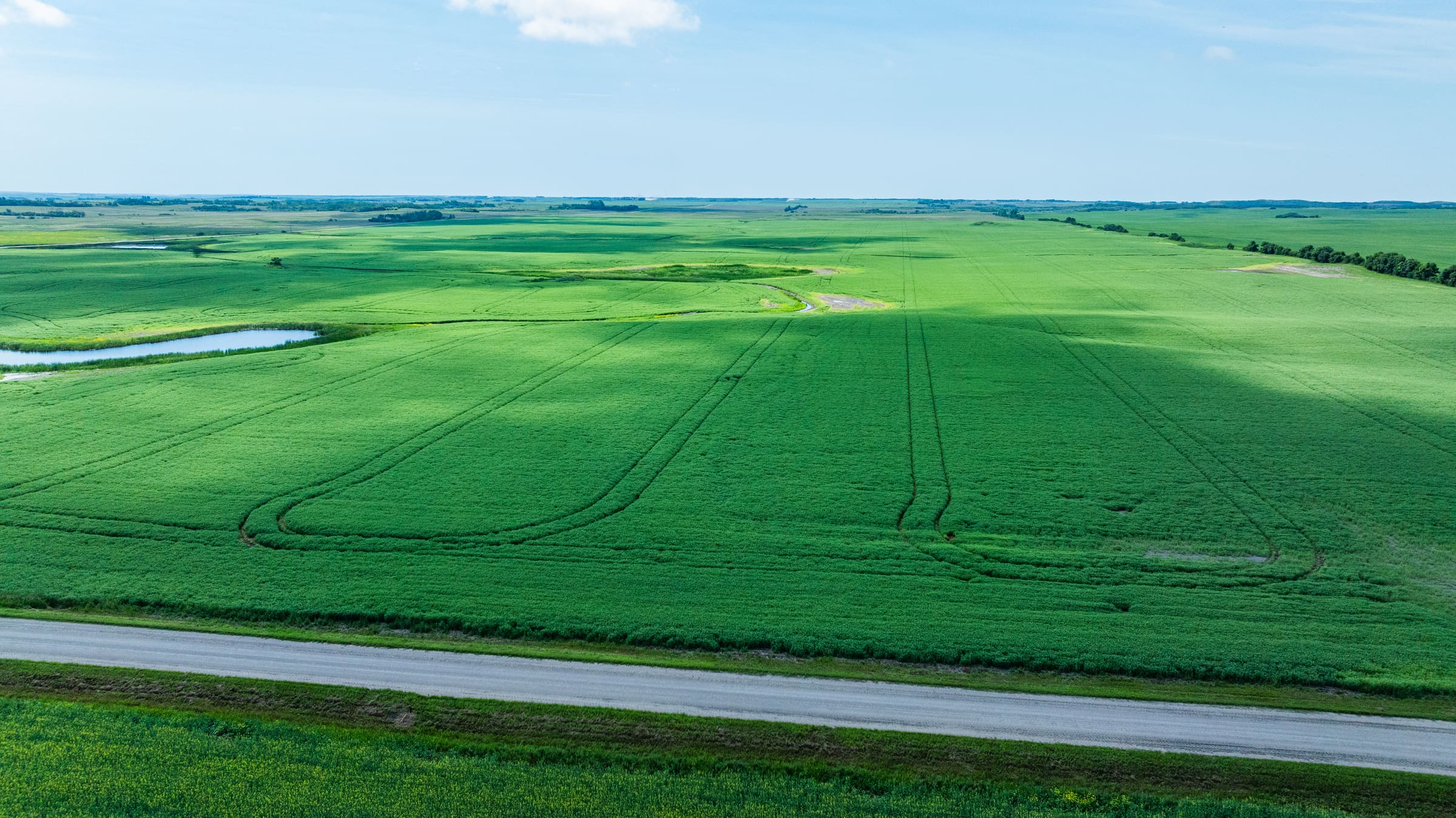 Aerial view of Lazy T Ranch feed crops in full July growth beside a prairie road