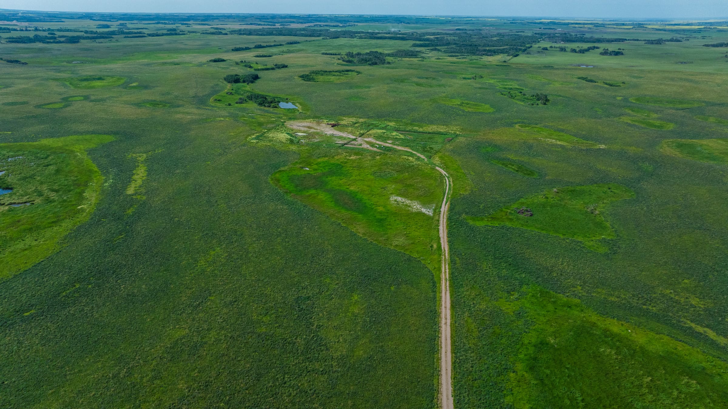 Rolling Lazy T Ranch grassland stretching to the horizon in midsummer